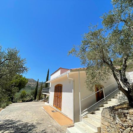 Colori Del Sud - Residence マッティナータ エクステリア 写真