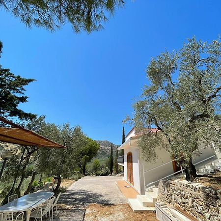 Colori Del Sud - Residence マッティナータ エクステリア 写真