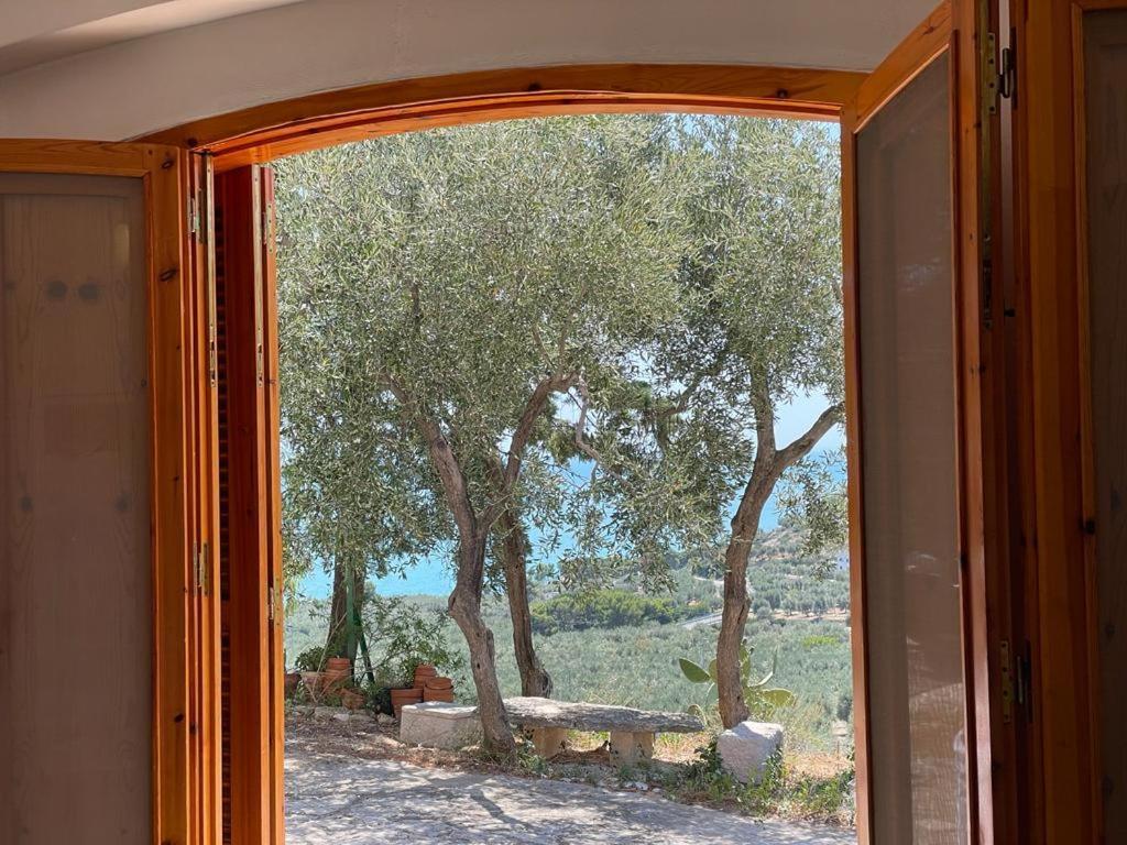 Colori Del Sud - Residence マッティナータ エクステリア 写真