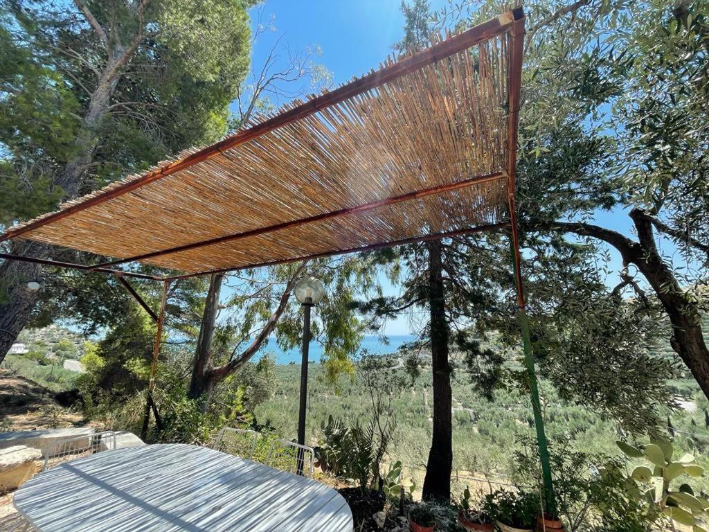 Colori Del Sud - Residence マッティナータ エクステリア 写真